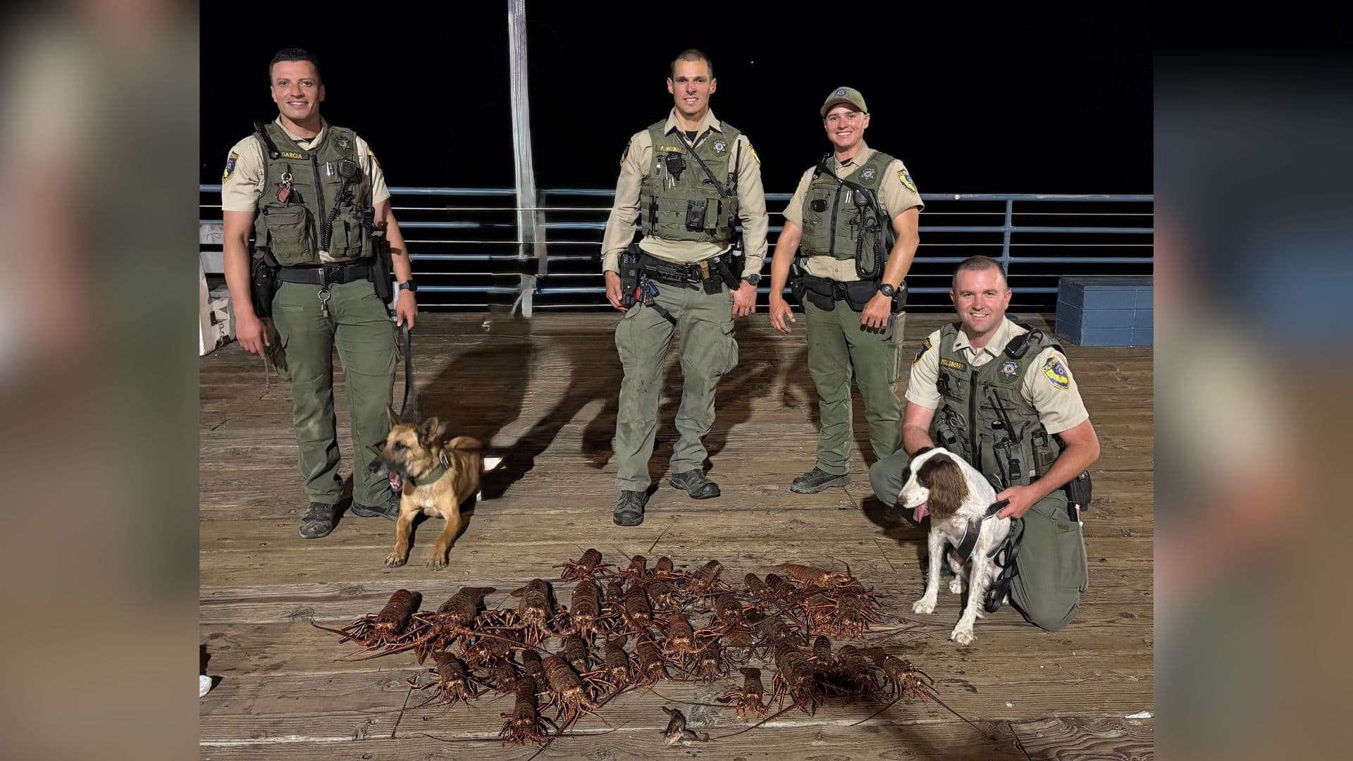6 arrested at Santa Monica Pier in spiny lobster poaching crackdown