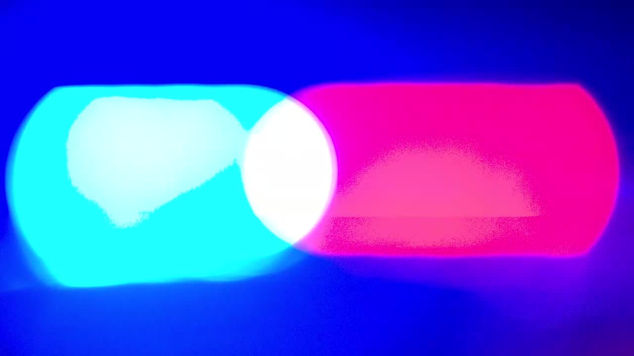 Arrest made in Monticello hit-and-run that killed dog, sent owner to hospital